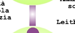 Costruire l'identit� della scuola come una comunit� di pratica con finalit� comuni. 