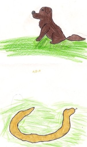 Immagine:Asia1au.jpg