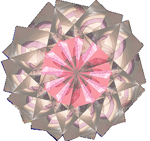 Immagine:Nuovo-6.gif